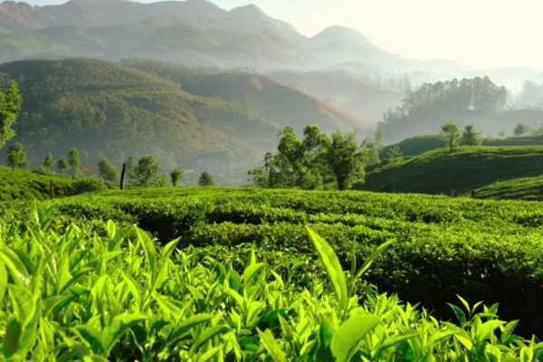 Tamil Nadu Luxury Tours