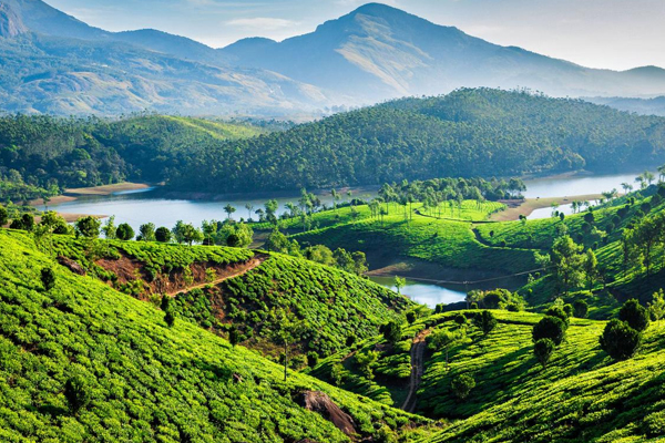 Ooty Couple Tour Packages